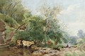 Cattle watering in a copse - James Jackson Curnock