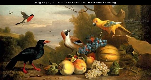 A Bullfinch, a Chough, a Jay and a Sun Conure with quinces, grapes and melons in a landscape - Jakob Bogdani Eperjes C