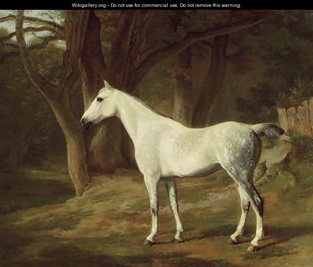 A grey hunter in a wooded landscape - Jacques Laurent Agasse