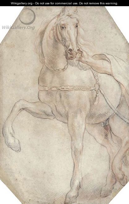A harnessed horse looking to the right - Jacob Jordaens