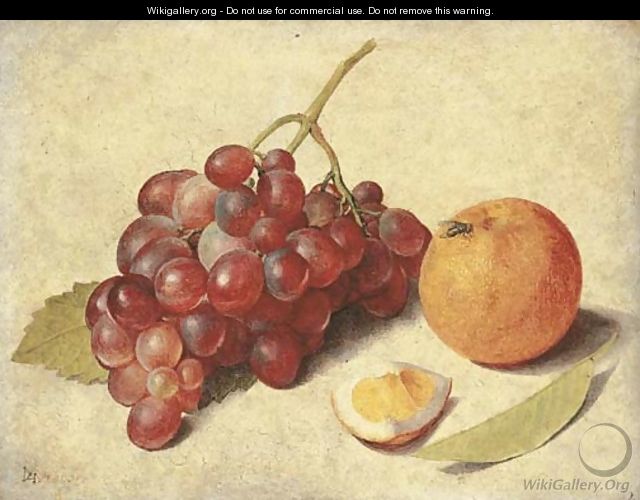 A bunch of grapes on the vine - Jacob van Hulsdonck