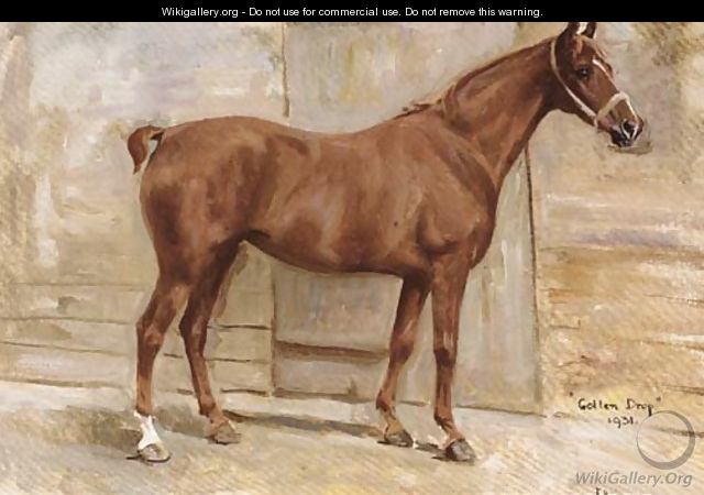 Golden Drop, a chestnut hunter in a stable - Jerome B. Thompson