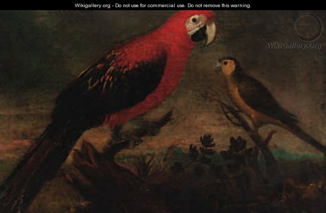 A scarlet macaw and a parrot in a landscape - Italian School