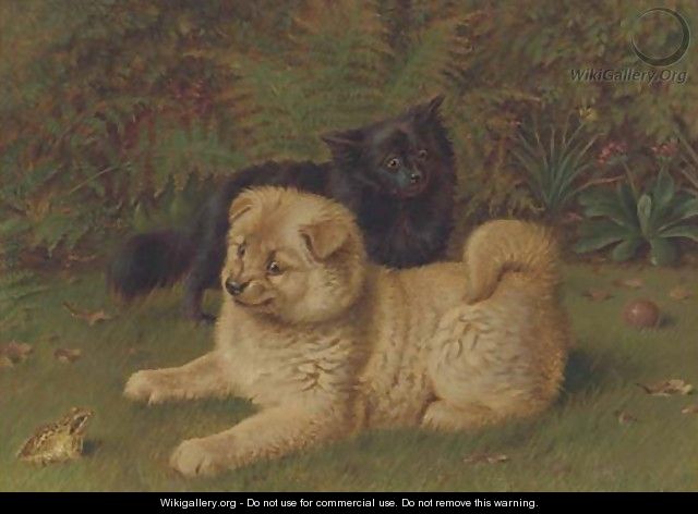 Chow pomeranians in a garden - Horatio Henry Couldery