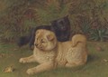 Chow pomeranians in a garden - Horatio Henry Couldery