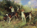 Dandy, Nigel and Sapphire - North Shropshire Foxhounds - Heywood Hardy