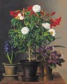 Camelias, amaryllis, hyacinth and violets in ornamental pots on a marble ledge - Johan Laurentz Jensen