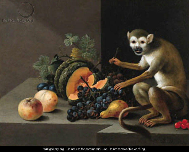 A monkey with grapes, peaches, a melon and other fruit on a stone ledge - Johann Amandus Winck