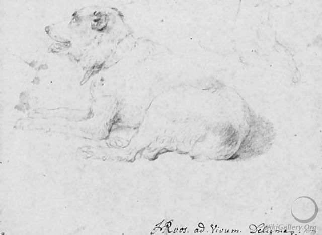 A dog lying down, with a partial subsidiary study of his forequarters in the opposite direction - Johann Heinrich Roos