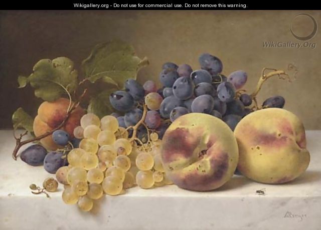 A Still Life with Peaches and Grapes on a Marble Ledge - Johann Wilhelm Preyer