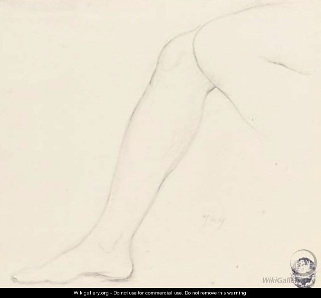 Study of a right leg with part of the left knee - Jean Auguste Dominique Ingres