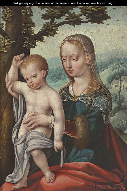 The Virgin and Child - Jan Sanders Van Hemessen