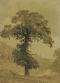 Study of a Tree - Jasper Francis Cropsey