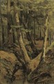 The forest stream - Jan Willem Van Borselen