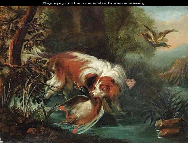 A hunting dog retrieving a mallard - Jan Fyt