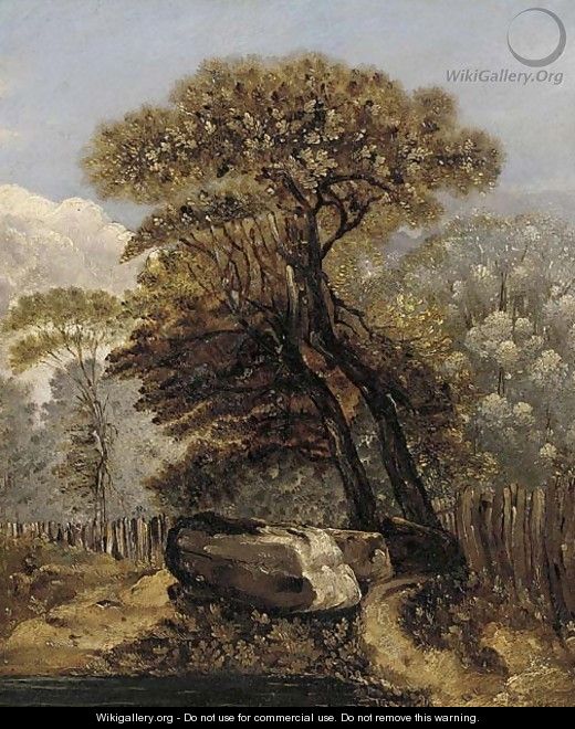 A wooded landscape - James Sillett