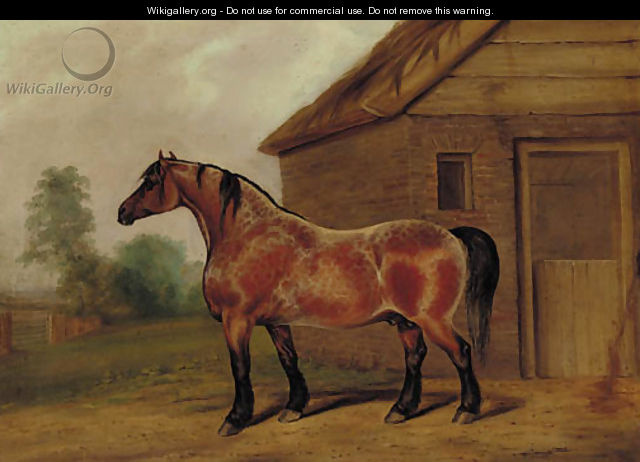 A strawberry roan horse before a stable - James Scraggs