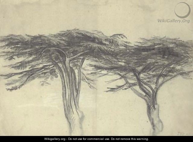 Study of two cedars of Lebanon - James Ward