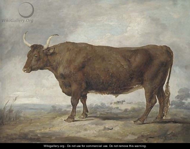 Portrait of an ox - James Ward