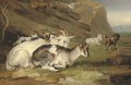 Goats in a rocky landscape - James Ward