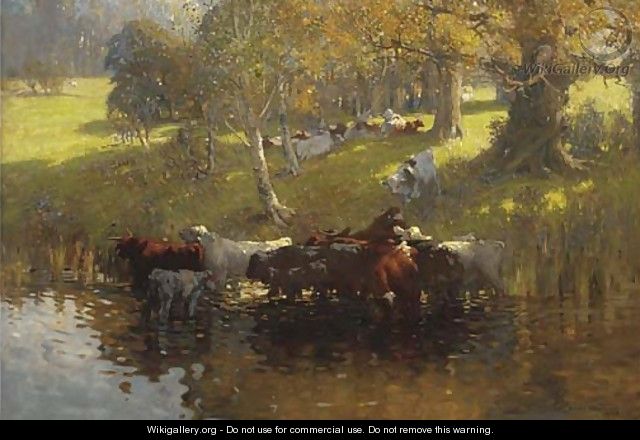 Cattle watering on a summer