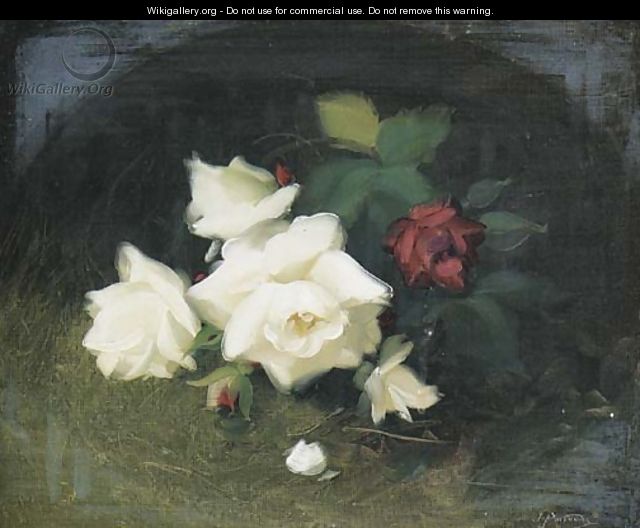 White and red roses 2 - James Stuart Park