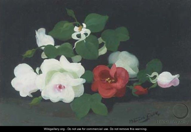 White and red roses - James Stuart Park