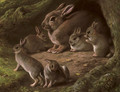 Rabbits in a wood - John Carter