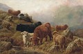 Highland cattle - Robert Watson