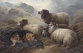 Guarding the flock - Robert Watson
