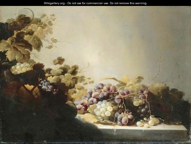 Grapes on a stone ledge with citrus fruits in a basket - Roloef Koets