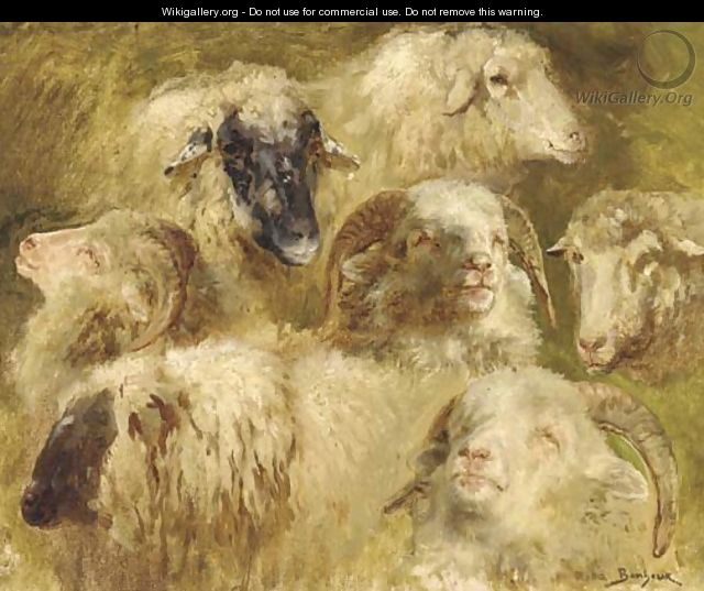 Tetes de moutons et beliers - Rosa Bonheur