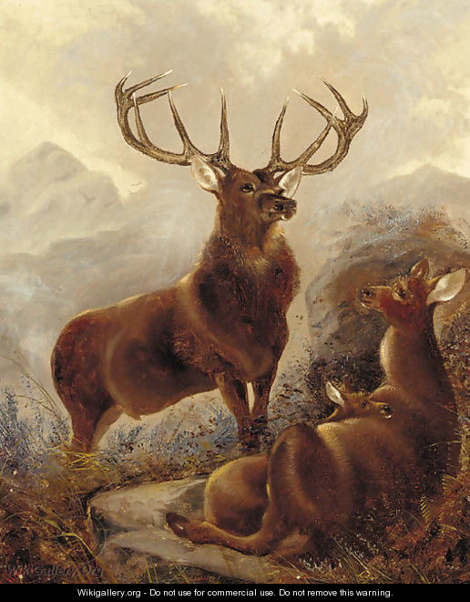 A stag with doe in a highland landscape - Robert Cleminson