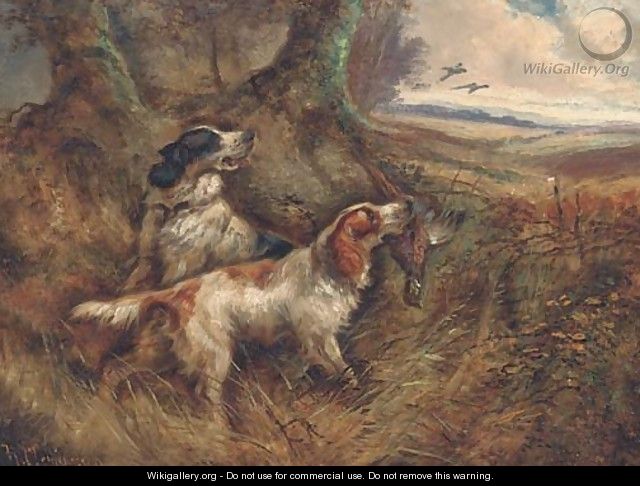 Gundogs with a pheasant - Robert Cleminson