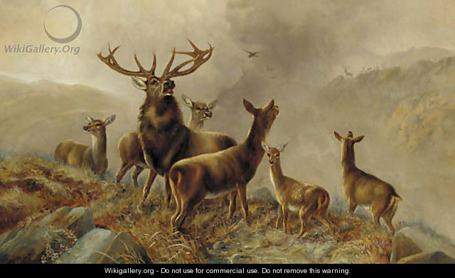 A stag with hinds in a Highland landscape - Robert Cleminson