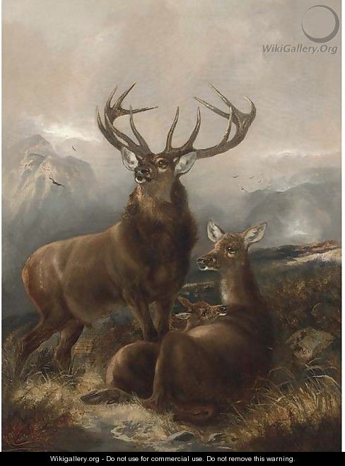 A stag with hinds - Robert Cleminson