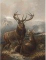 A stag with hinds - Robert Cleminson