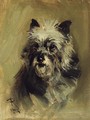 Head of a Cairn Terrier - Robert L. Alexander