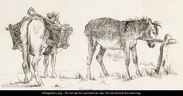 Study of two donkeys - Robert Hills