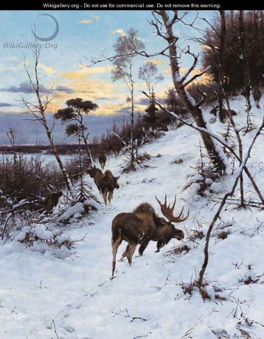 Moose in a winter landscape - Richard Friese