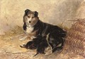 Motherhood - A collie with puppies - Richard Ansdell