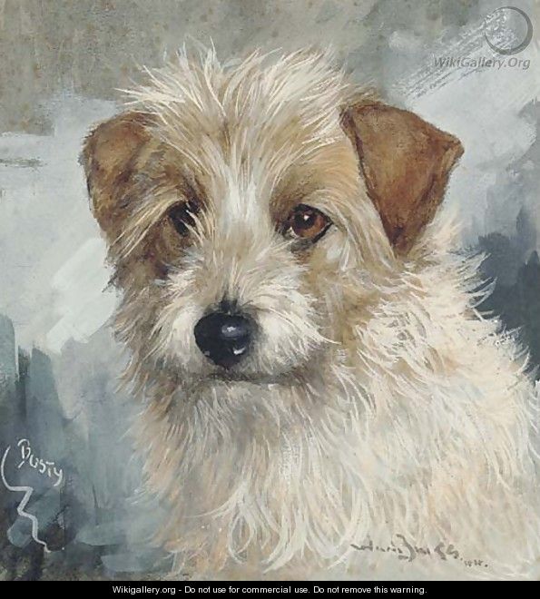 Busty, the head of a wire haired terrier - Binks, R. Ward