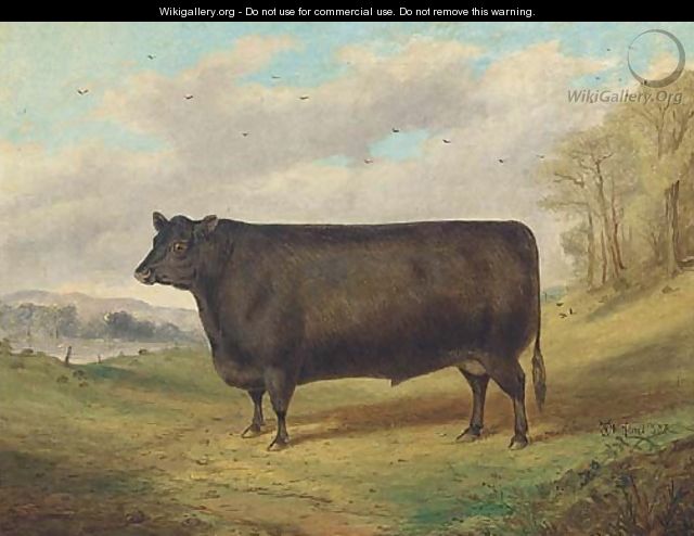 A prize bull - Richard Whitford