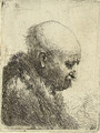 A bald-headed Man in Profile right - Rembrandt Van Rijn