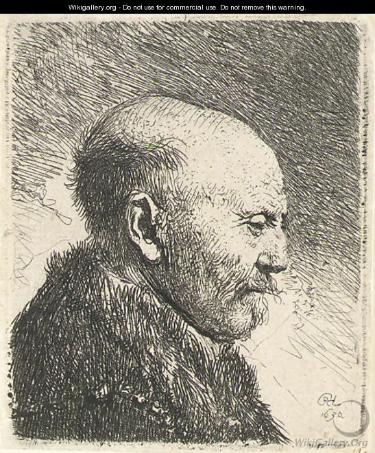 Bald-headed man in Profile Right; The Artist