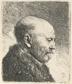 Bald-headed man in Profile Right; The Artist's Father - Rembrandt Van Rijn