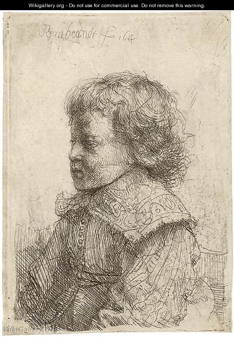 Portrait of a Boy, in Profile - Rembrandt Van Rijn