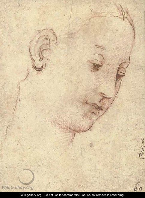 Head of the Madonna, in three-quarter profile to the right - Raphael