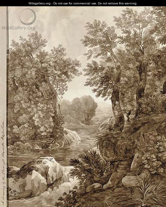 A river flowing through an overgrown valley - Princess Charlotte Bonaparte