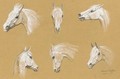 White horses - H. Raoul Millais